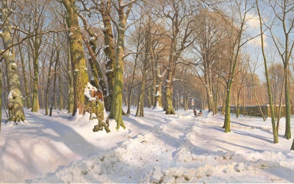 Snow covered forest path in sunlight by Peter Mork Monsted